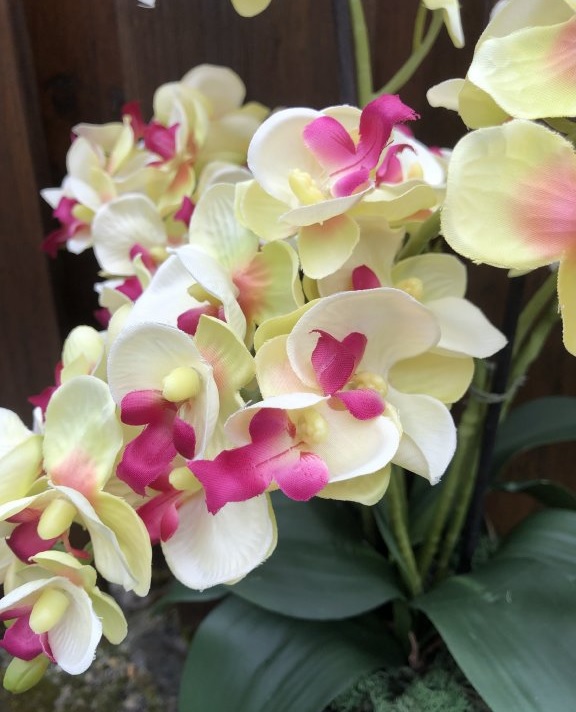 Umělá orchidej v květináči žluto fialová